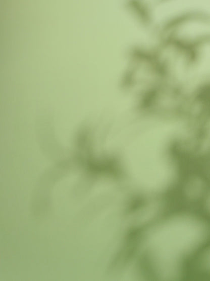 Eucalyptus Antibacterial Bubble Foaming Hand Soap — 500ml